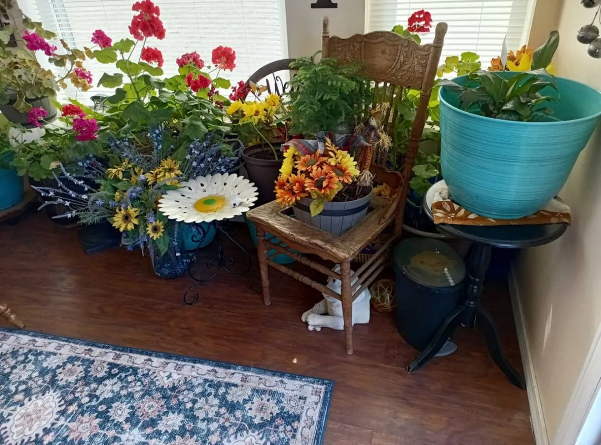 A cheerful nook featuring vibrant flower arrangements, a wooden chair, colorful potted plants, and a decorative rug. The space radiates warmth and charm, ideal for curling up with a book or enjoying a quiet conversation.